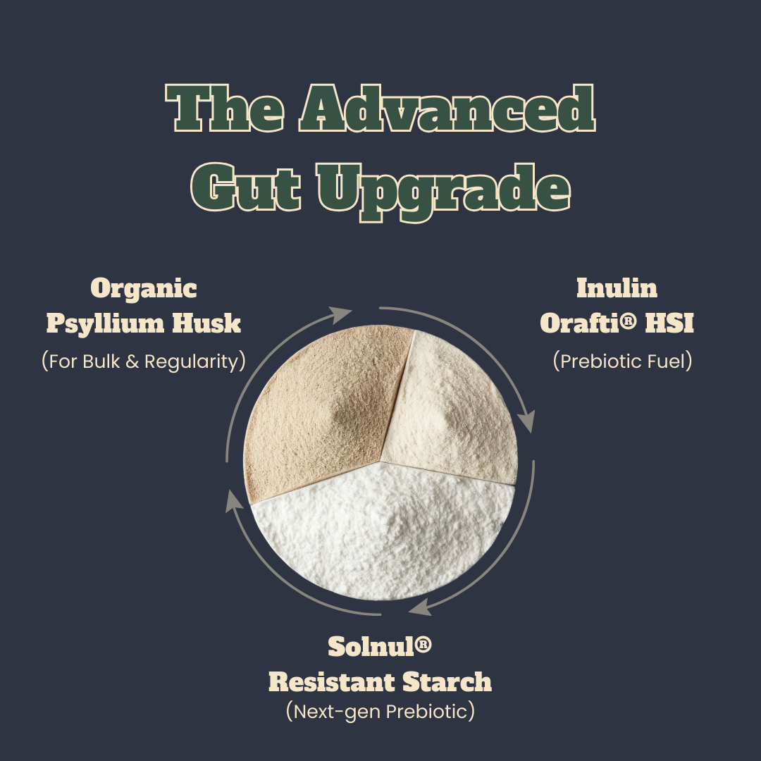 Mr. Regular™ Prebiotic Fibre — Advanced Gut & Microbiome Support